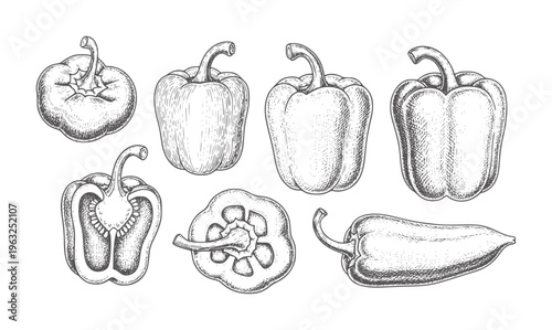 Black and white line of whole and sliced bell peppers bellpeppers vegetable lineart