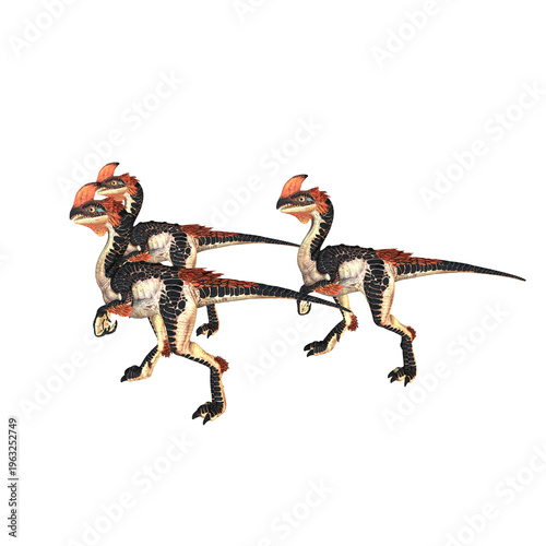 Fotografie Gorgosaurus Dinosaur