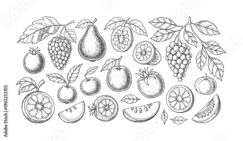 Monochrome hand drawn assortment of fruits and citrus slices with leaves lemon lime
