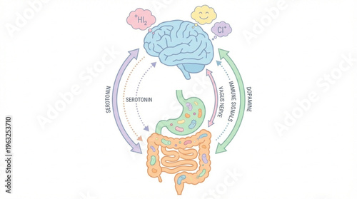 Microbiome and Mental Health Vector Serotonin and Dopamine Pathway