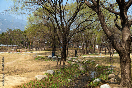서울 창포원의 봄-도봉구, 서울