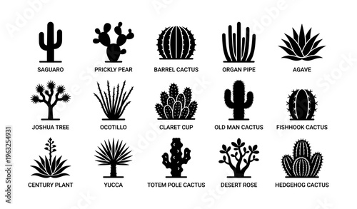 Silhouette collection of various cacti and desert plants in black and white