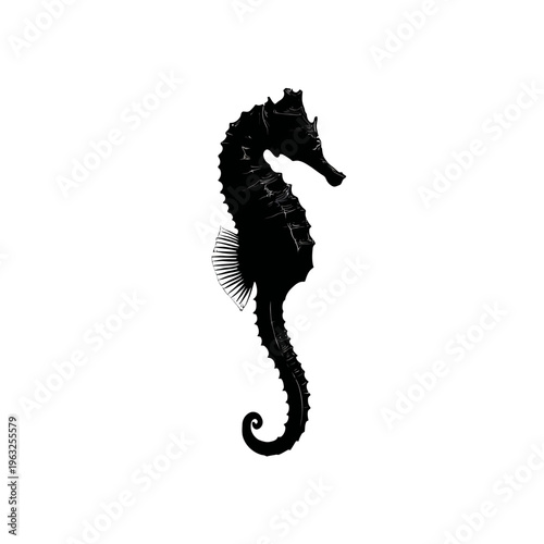 Black silhouette of a seahorse swimming.