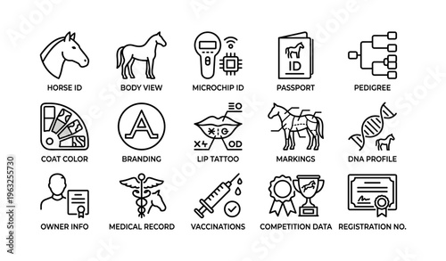 Comprehensive horse identification and record symbols for breeding and health