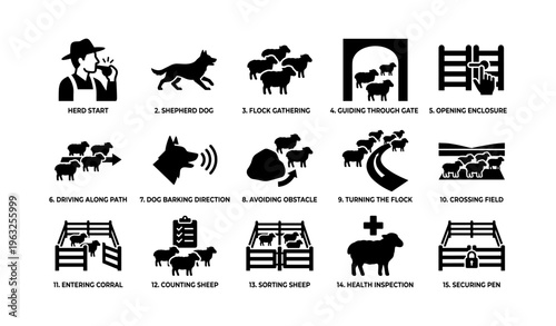 Sheep herding process with sheepdog and enclosure management icons
