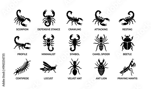 Silhouette collection of scorpions, insects, and arachnids in various poses