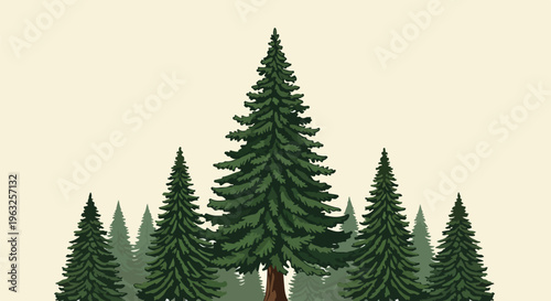 Illustration of several green fir trees on a light-colored background