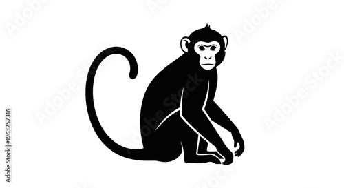 Black monkey sitting on ground.