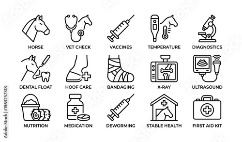 Veterinary icons: animal healthcare tools and treatments for equine and livestock welfare