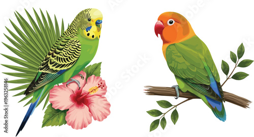 Colorful Parrot and Budgerigar Bird Illustration Set with Tropical Flowers, Branch, Exotic Birds, and Wildlife Vector Illustration Collection