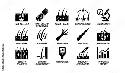 Hair care icons: follicle, growth cycle, dandruff, sebum, ph balance
