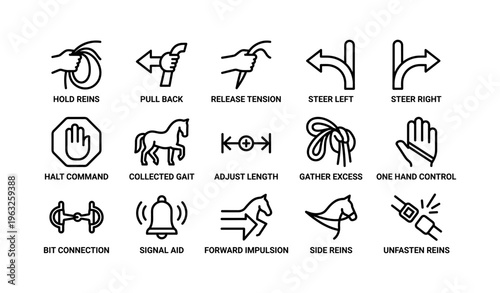 Equestrian symbols: reins, commands, and gaits for effective riding control