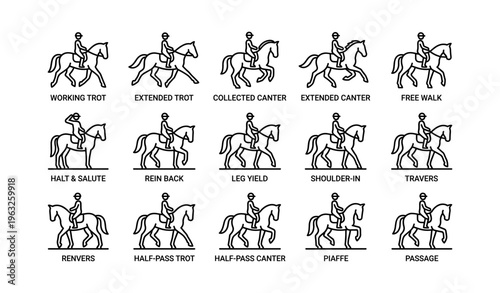 Equestrian dressage pattern diagrams depicting various horse movements and poses