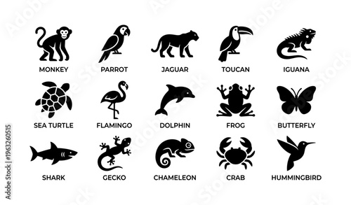 Silhouette icons of diverse animals: monkey, parrot, jaguar, toucan, iguana, more