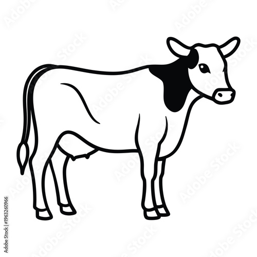 cow vector illustration