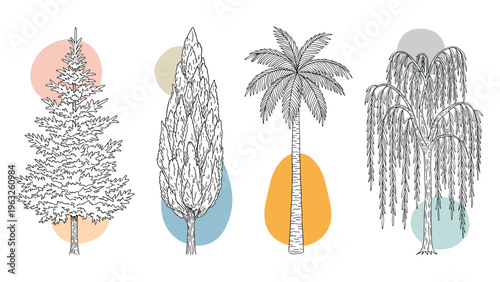 Artistic hand drawn sketches of four different tree types including pine, cypress, palm, and willow with abstract colored shapes.