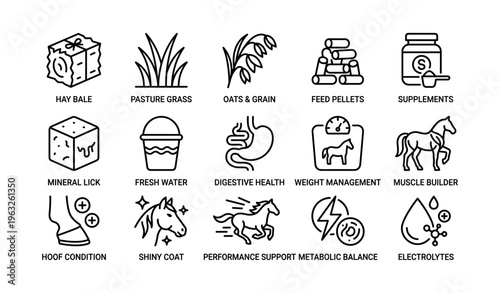 Icons of horse nutrition: feed, health, and supplements