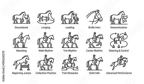 Horse training techniques visual guide: mastering groundwork to advanced performance