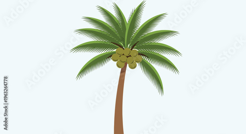 Palm tree with green leaves standing.