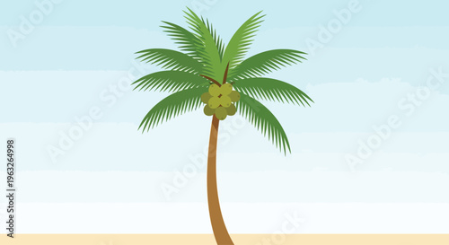 Single Palm Tree on Sandy Beach.
