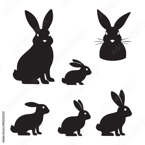 Elegant swans gliding gracefully across a serene body of water Vector