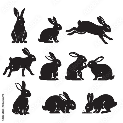 A collection of silhouettes showcasing the diversity of bird species Vector