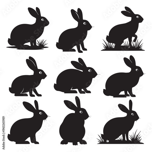 A graceful flock of black swans gliding across the water Vector