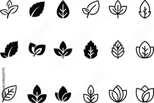 A diverse collection of stylized leaf icons showcasing various shapes and intricate designs in a monochromatic scheme for visual appeal and versatility