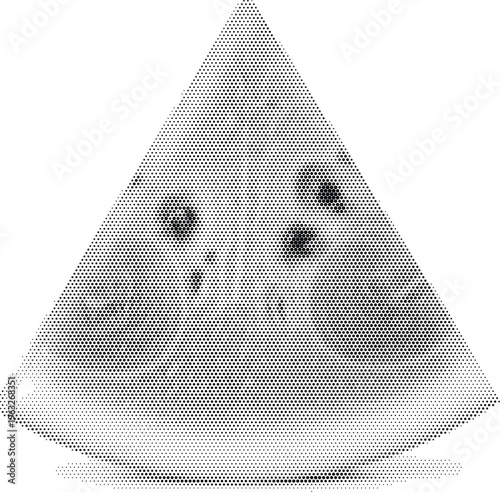 watermelon fruit summer food organic sweet nature plant berry refresh fresh natural garden