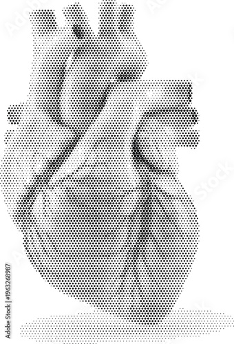 human heart organ anatomy halftone medical health cardiology science biology hospital doctor life body