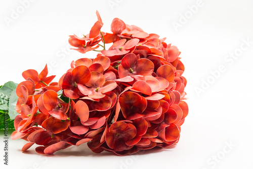 Φωτογραφία A detailed close-up of a vibrant artifical hydrangea bouquet with green leaves, isolated against a clean, professional white background