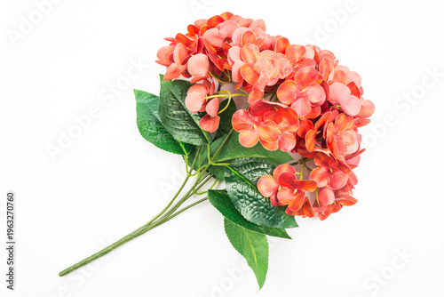 Fényképezés A detailed close-up of a vibrant artifical hydrangea bouquet with green leaves, isolated against a clean, professional white background