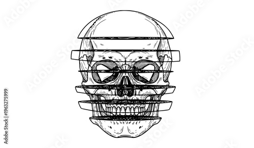 Detailed sliced skull vector illustration with separated layers floating anatomy design isolated on white