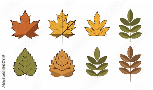 Minimalist geometric maple and ash leaves vector set flat isolated icon style illustration on white
