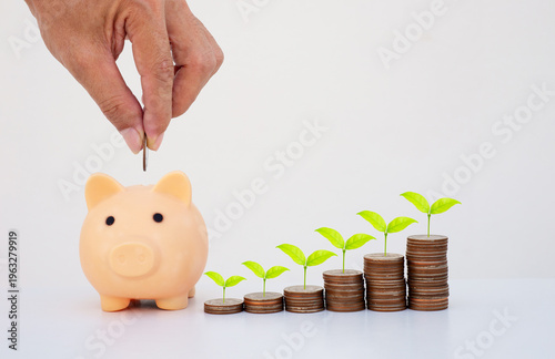 Hand putting coin into piggy bank with stacked coins and growing plants on white background. Concept of saving money,financial growth,investment planning,wealth management,long-term financial success.