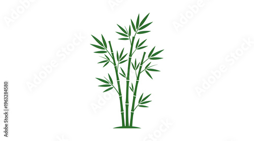 Bamboo Plant Illustration Green Stems Leaves.