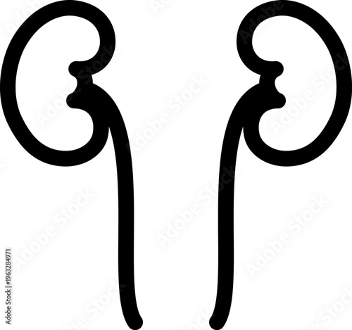 シンプルな腎臓の線画イラスト