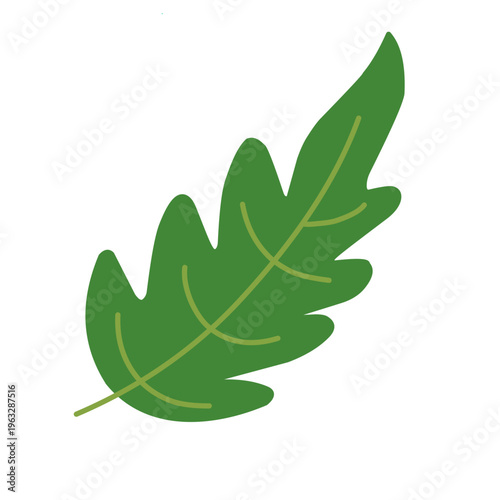 A bright green stylised oak leaf vector with jagged edges and clear vein lines. A minimalist and organic botanical icon isolated for nature-themed graphic design