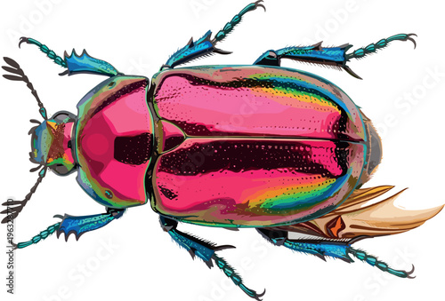 Vibrant jewel beetle vector illustration isolated on white background, colorful metallic insect top view, detailed exotic scarab bug design for nature, wildlife, entomology themes