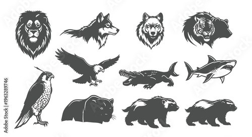 Wild Animal Head and Body Mascot Collection Vector