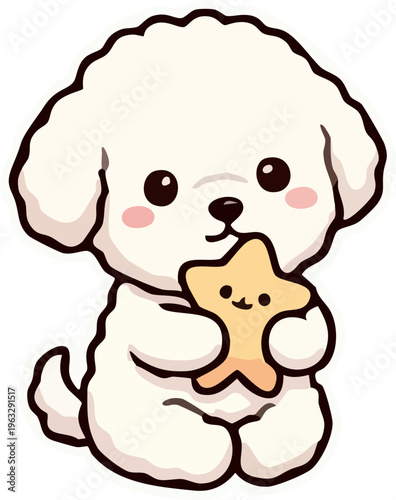 bichon 