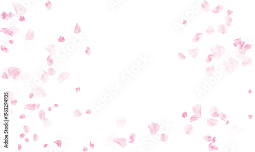 Scattered pink rose petals for a romantic wedding invitation and floral background