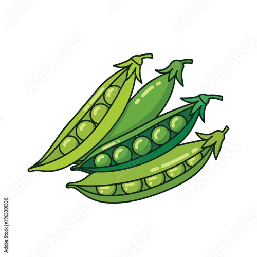 Green peas in pod illustration.