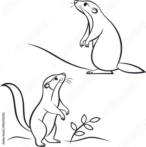 Vector ferret illustrations, cute ferret line art, ferret duo, black and white ferret graphics
