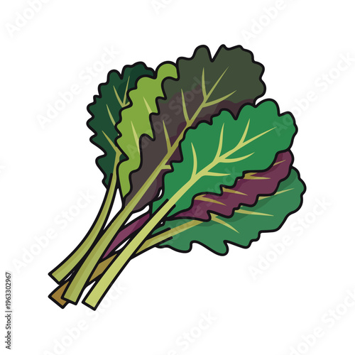 Fresh Green Leafy Vegetable Bunch.