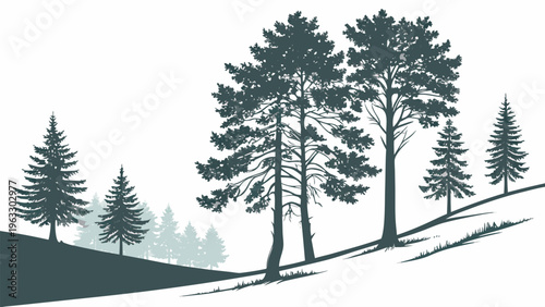 Snowy pine forest landscape with soft tones, calm winter scenery, clean minimalist vector, nature background, perfect for seasonal and outdoor themes.