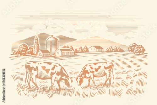 Vintage illustration of cows grazing in a rural countryside landscape