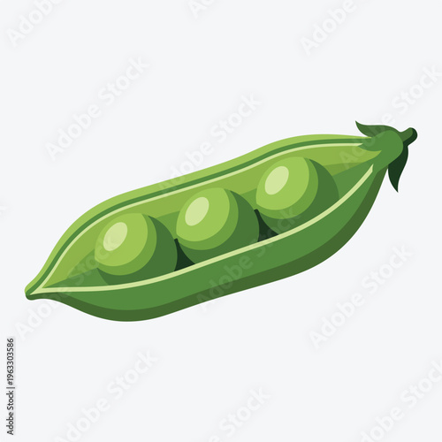 Fresh Green Peas in Pod Vegetable.