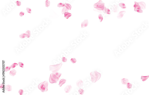 Scattered petals for wedding decor background vector illustration isolated