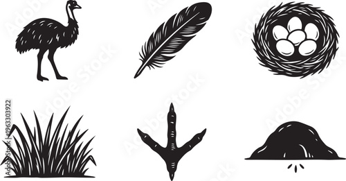 Bird life icons: ostrich, feather, nest with eggs, grass, bird footprint, and burrow
